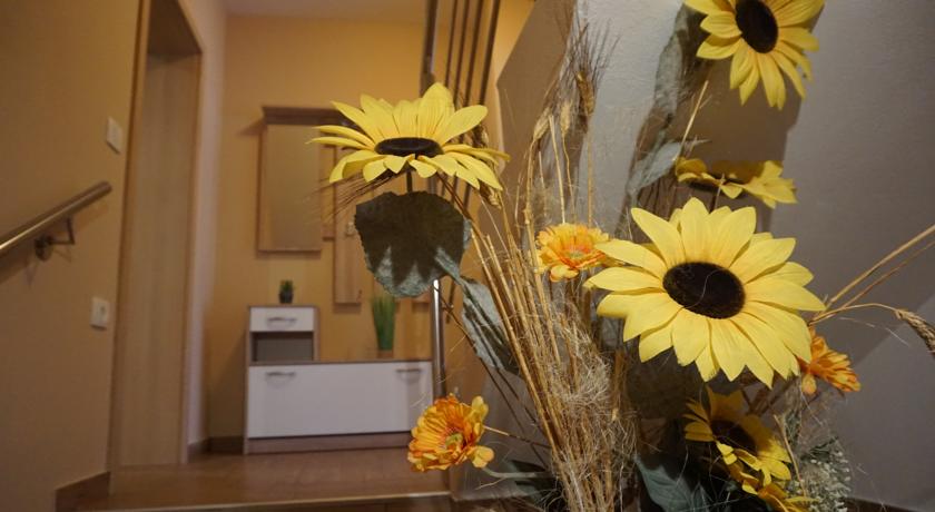 Apartment Soča Kobarid